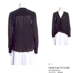 Derek Lam Striped Black Sheer Blouse Sz M